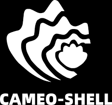 Cameo Shell APK icon